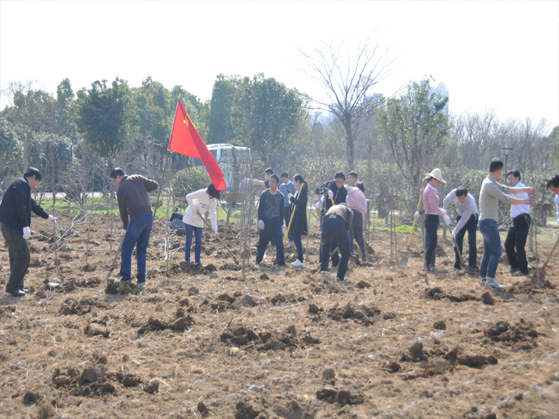 Z6��������ʱ���й������ٷ���վ