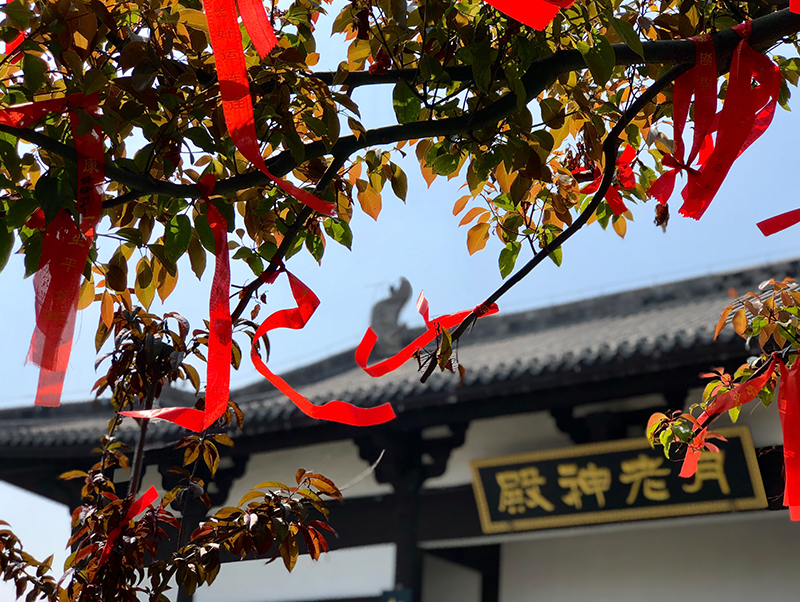 Z6��������ʱ���й������ٷ���վ