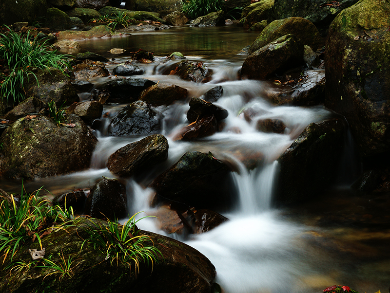 Z6��������ʱ���й������ٷ���վ