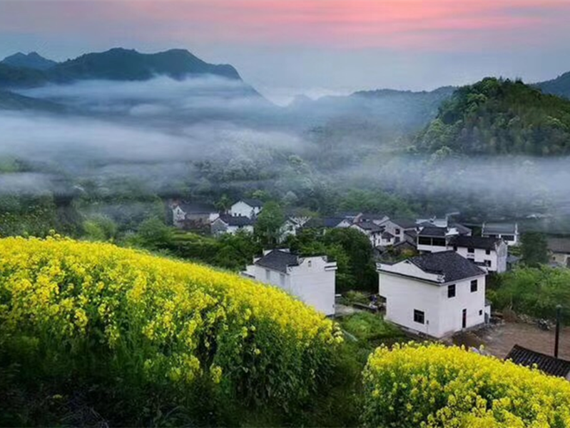 Z6��������ʱ���й������ٷ���վ