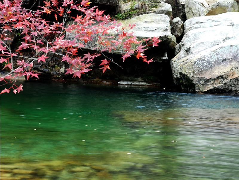 Z6��������ʱ���й������ٷ���վ