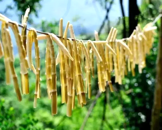 �Դ��������ɹ�����������ζ