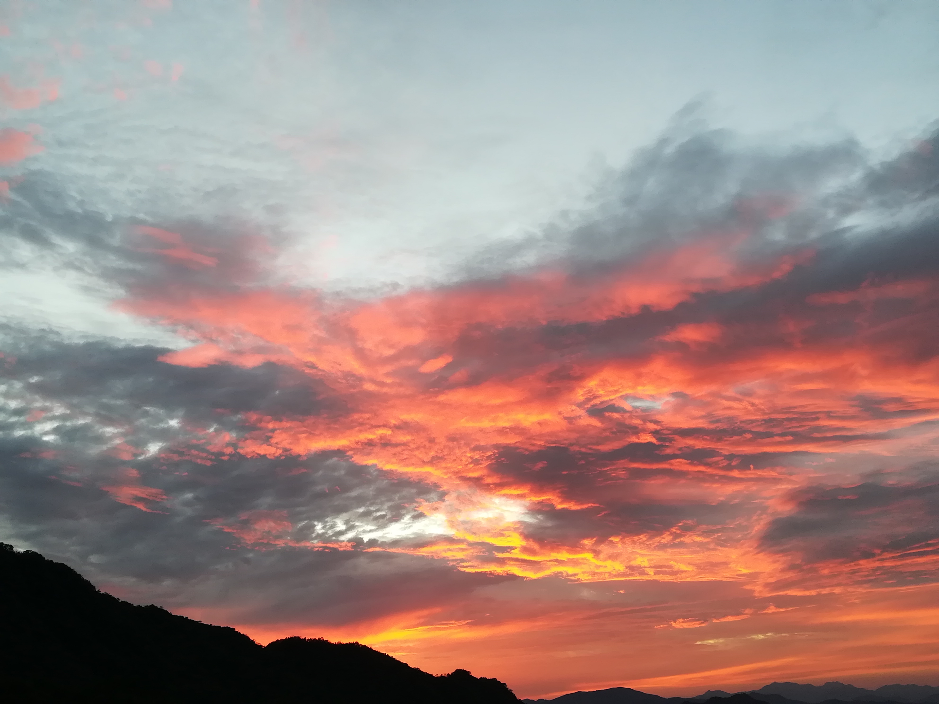 Z6��������ʱ���й������ٷ���վ