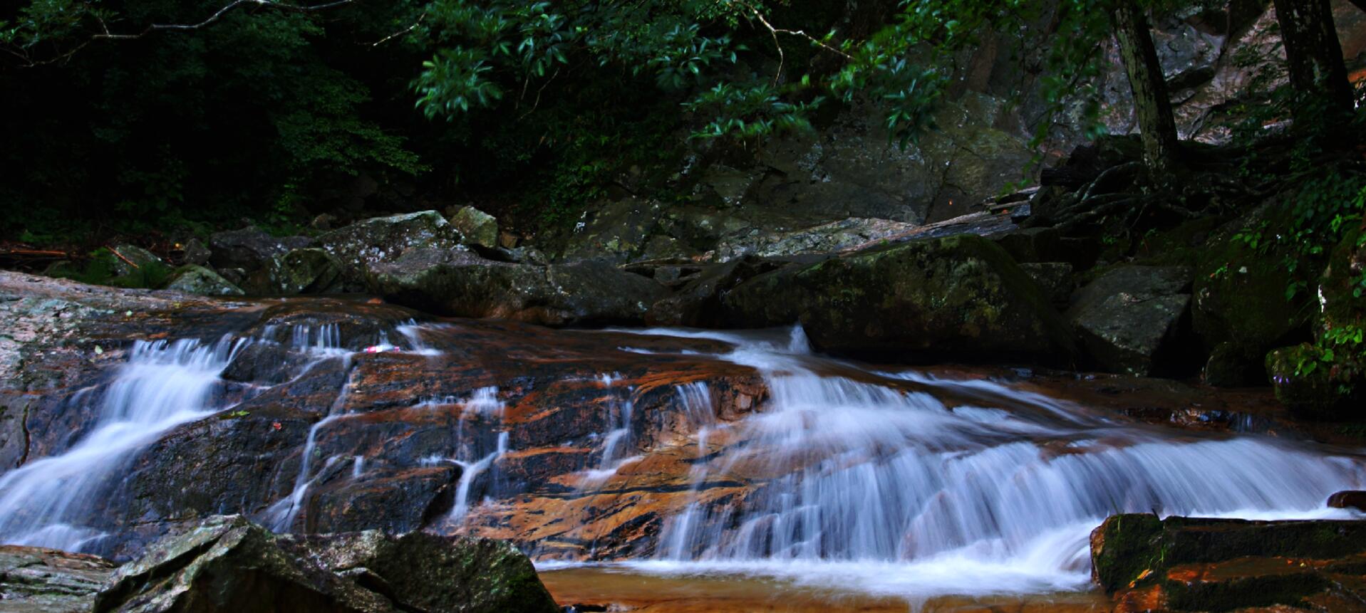 Z6��������ʱ���й������ٷ���վ