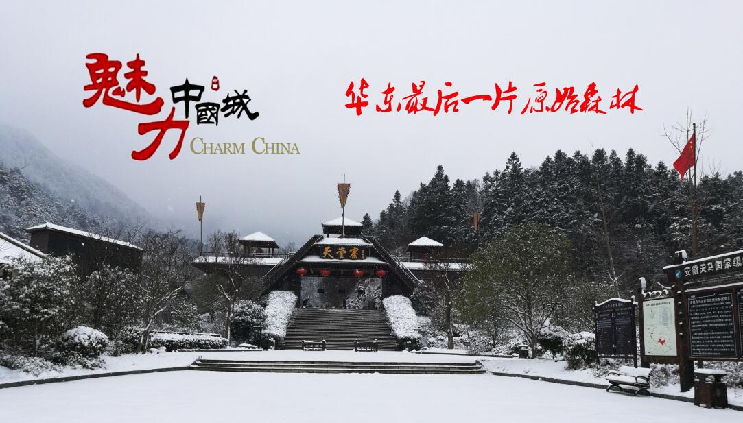 Z6��������ʱ���й������ٷ���վ