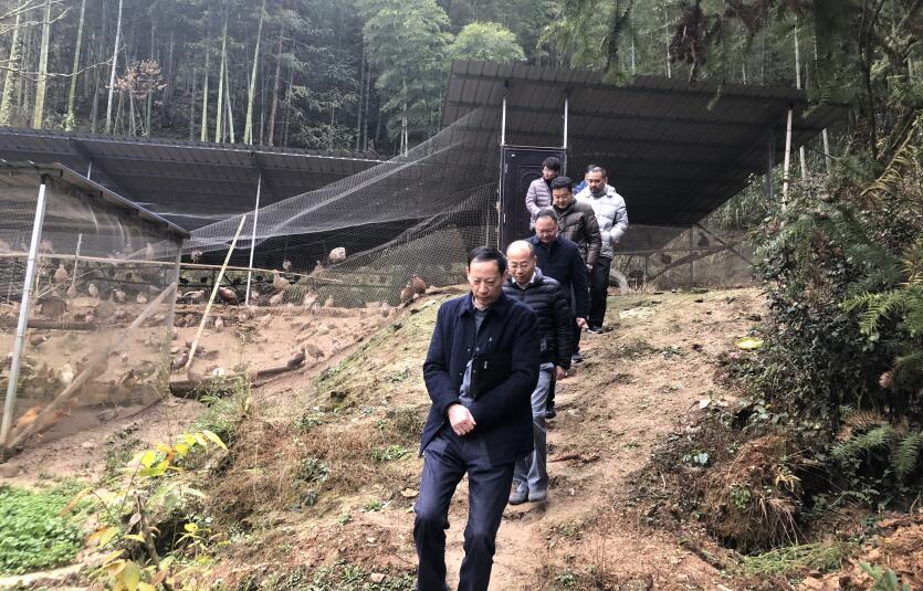 Z6��������ʱ���й������ٷ���վ