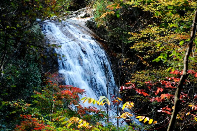 Z6��������ʱ���й������ٷ���վ