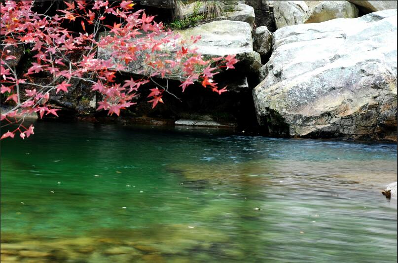 Z6��������ʱ���й������ٷ���վ