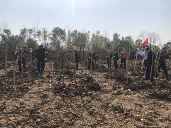 Z6��������ʱ���й������ٷ���վ