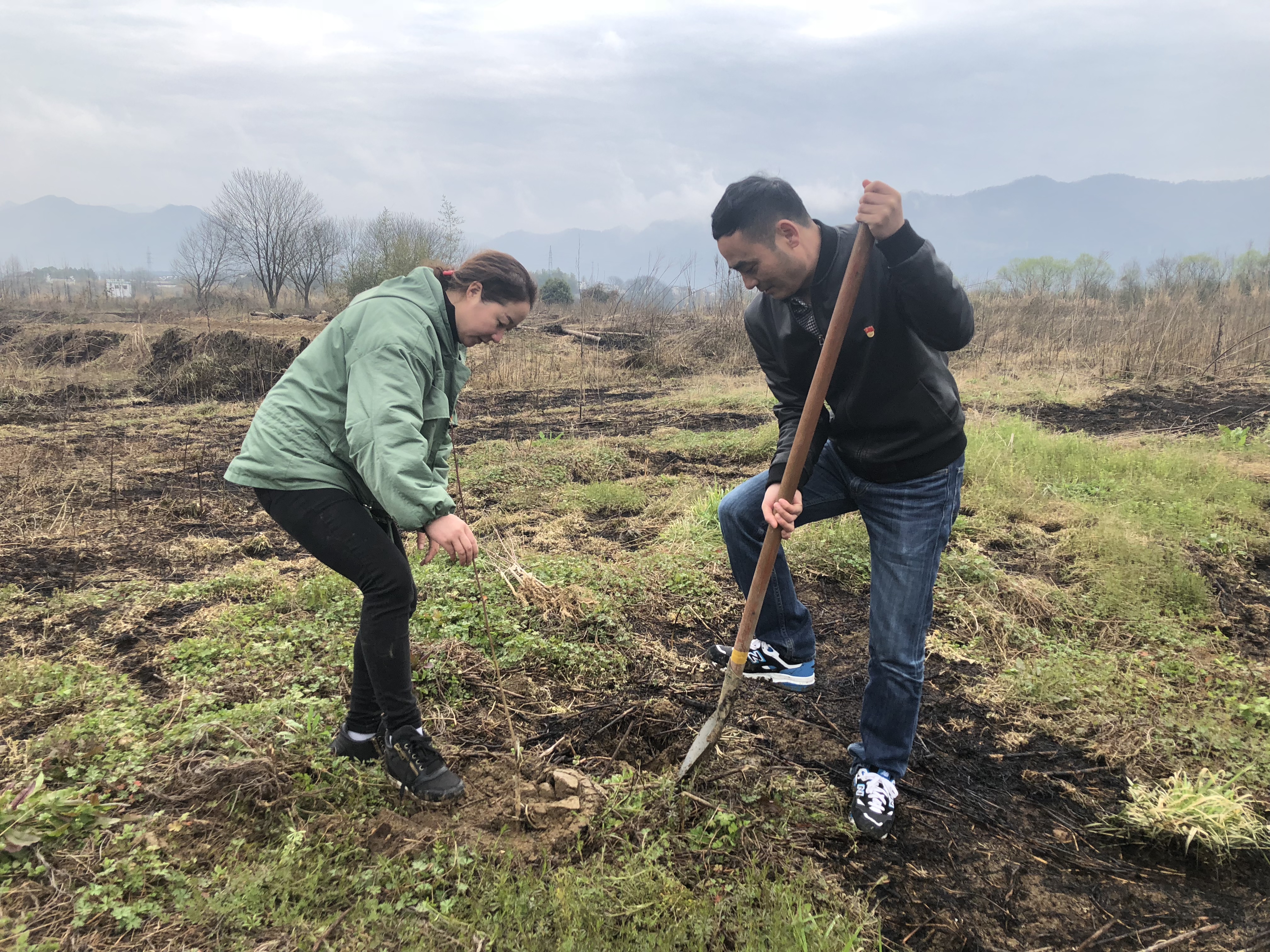 Z6��������ʱ���й������ٷ���վ