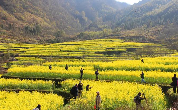 Z6¡¤×ðÁú¿Ê±¡¸ÖйúÇø¡¹¹Ù·½ÍøÕ¾