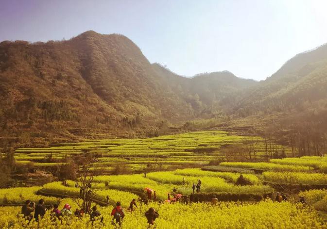 Z6¡¤×ðÁú¿Ê±¡¸ÖйúÇø¡¹¹Ù·½ÍøÕ¾