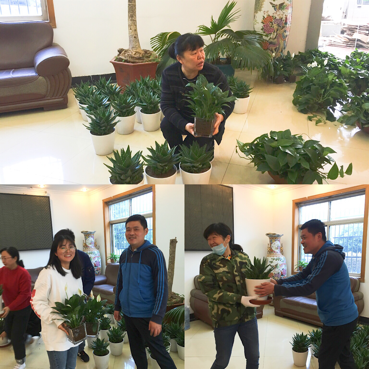 Z6��������ʱ���й������ٷ���վ