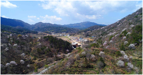 Z6��������ʱ���й������ٷ���վ