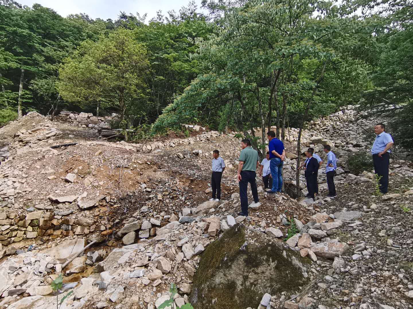 Z6��������ʱ���й������ٷ���վ