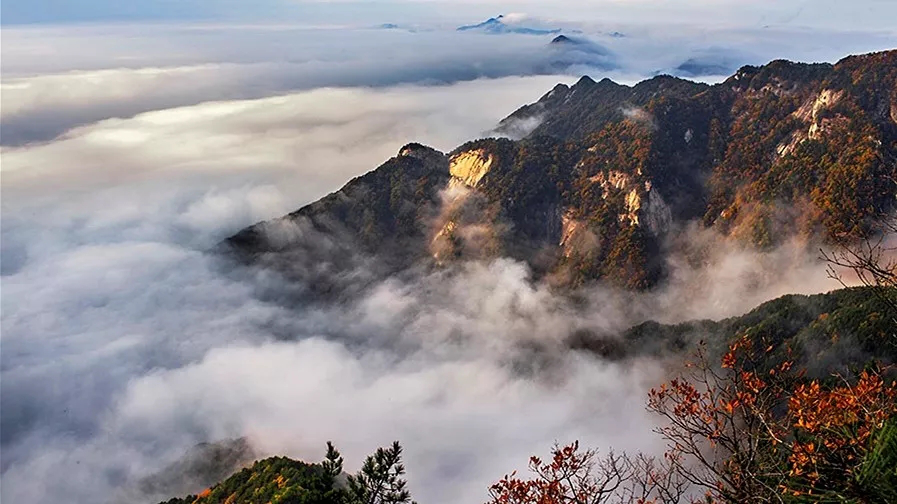 Z6��������ʱ���й������ٷ���վ