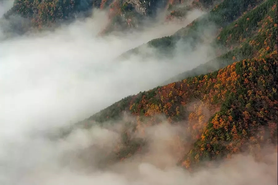 Z6��������ʱ���й������ٷ���վ