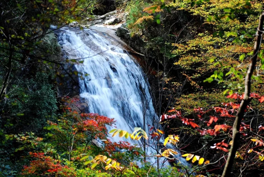 Z6��������ʱ���й������ٷ���վ