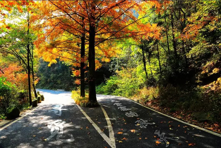 Z6��������ʱ���й������ٷ���վ