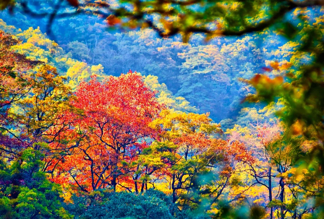 Z6��������ʱ���й������ٷ���վ