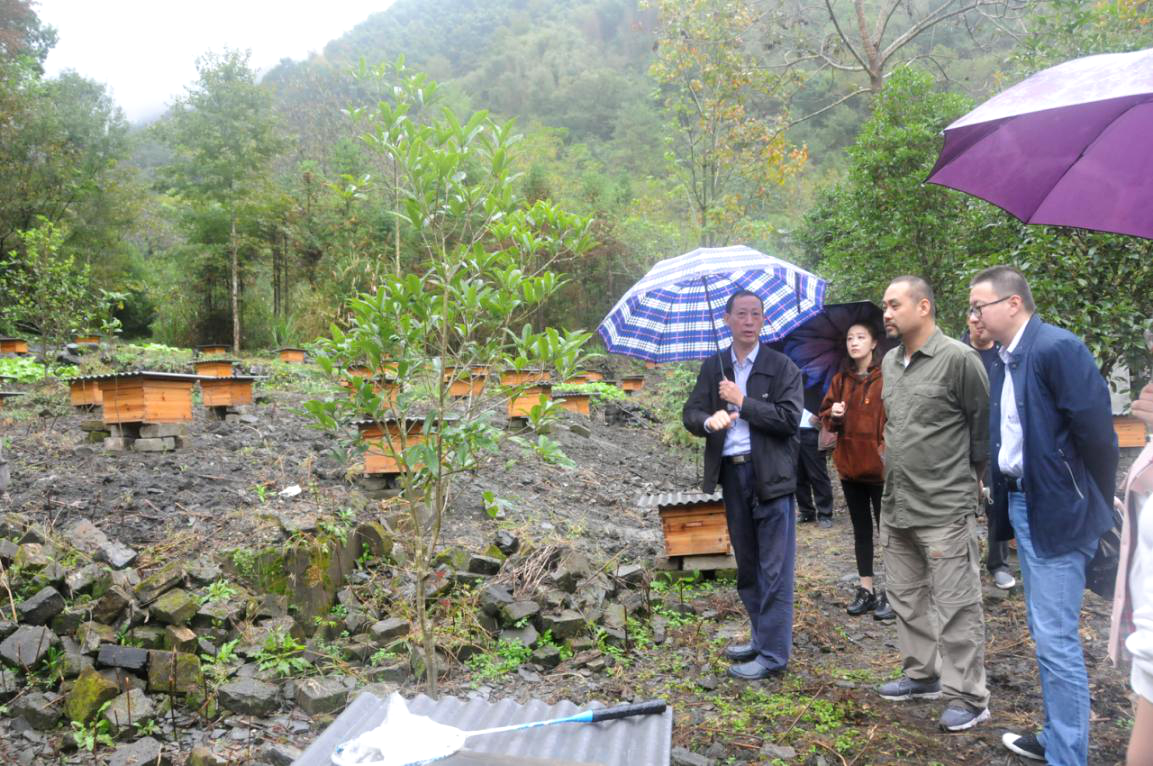 Z6��������ʱ���й������ٷ���վ