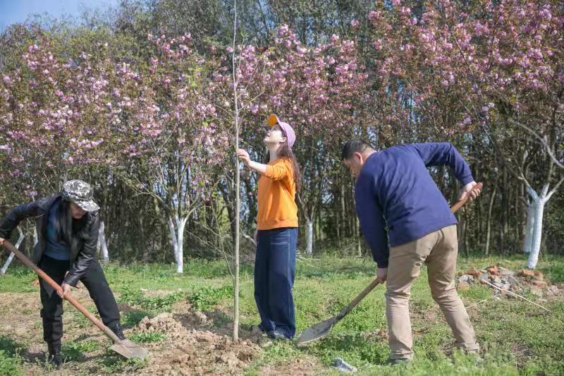 Z6��������ʱ���й������ٷ���վ