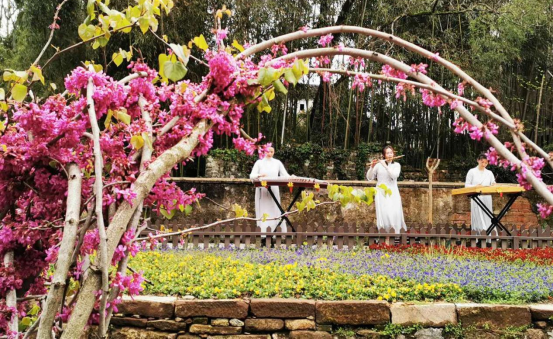 Z6��������ʱ���й������ٷ���վ