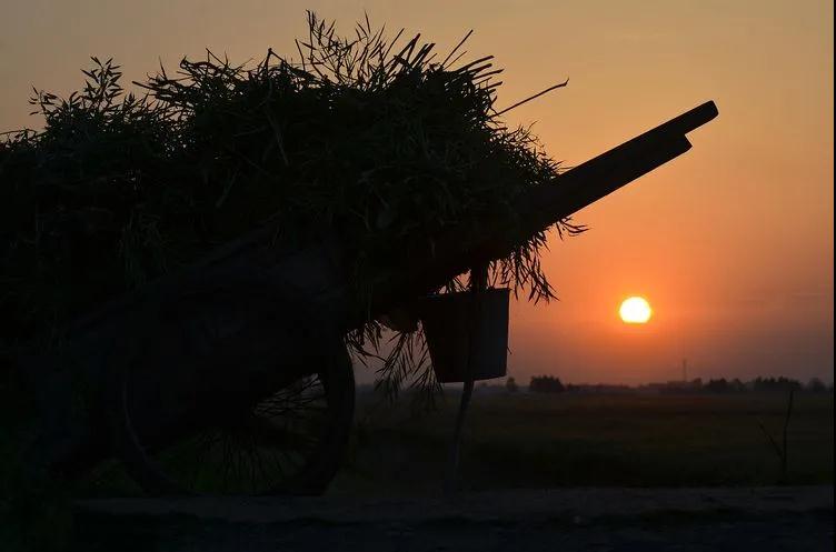 Z6��������ʱ���й������ٷ���վ