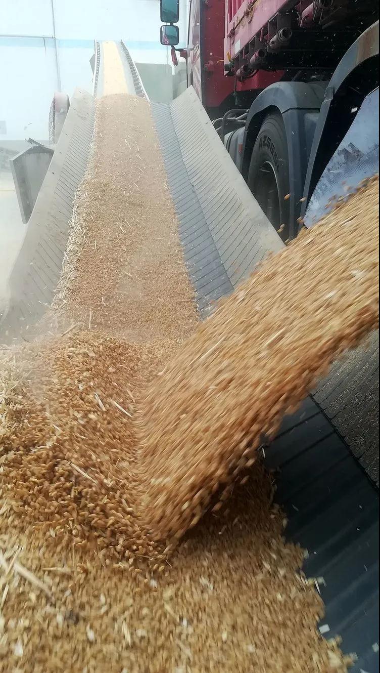 Z6��������ʱ���й������ٷ���վ