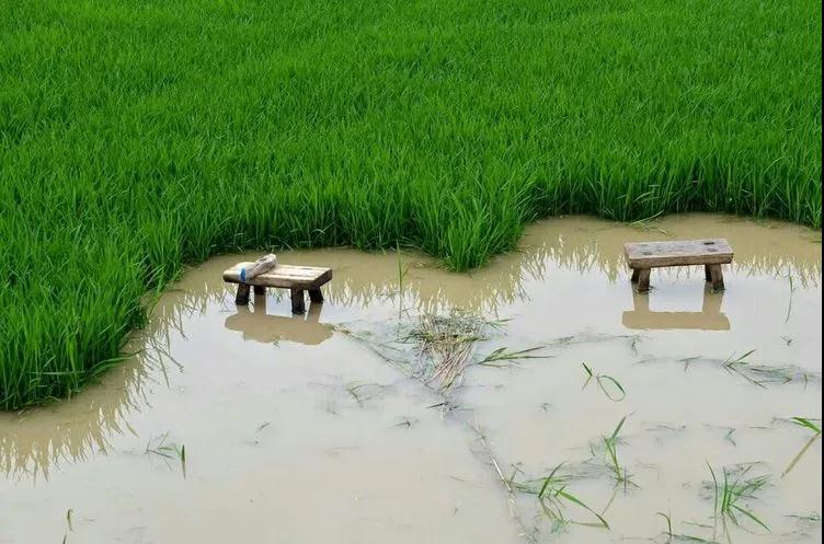 Z6��������ʱ���й������ٷ���վ