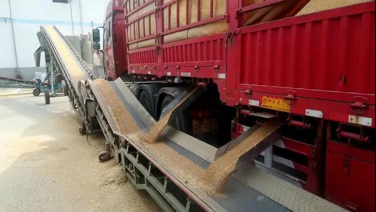 Z6��������ʱ���й������ٷ���վ