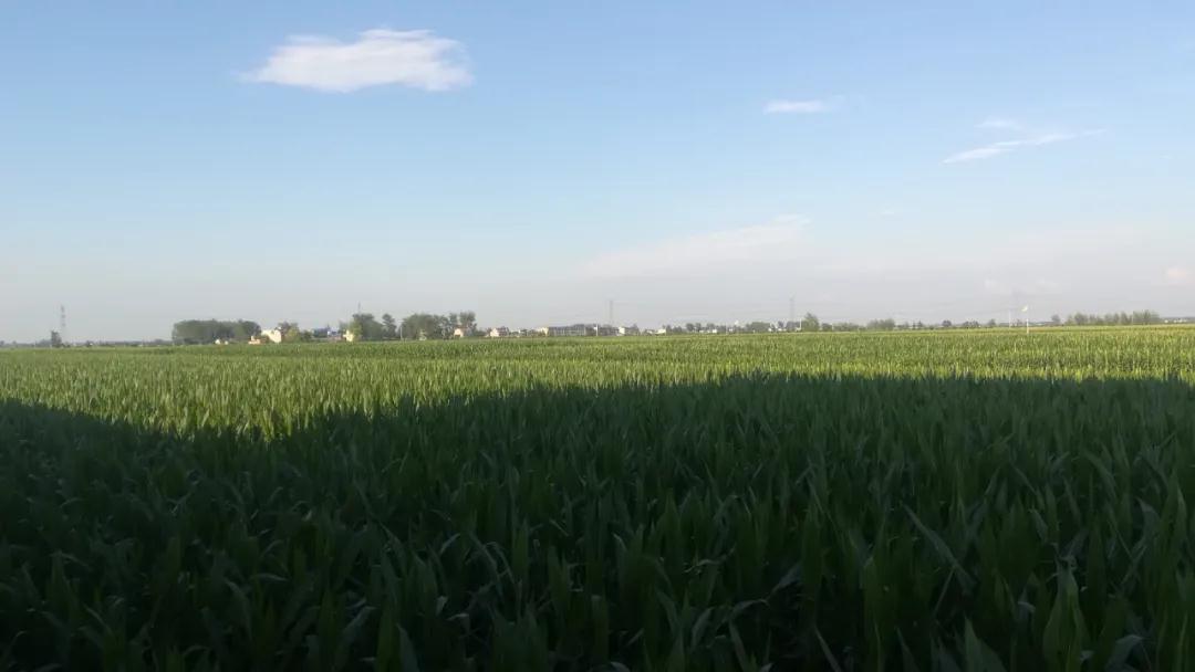 Z6��������ʱ���й������ٷ���վ