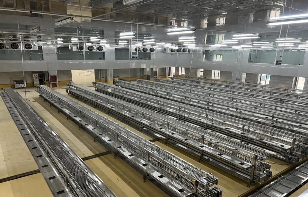 Z6��������ʱ���й������ٷ���վ