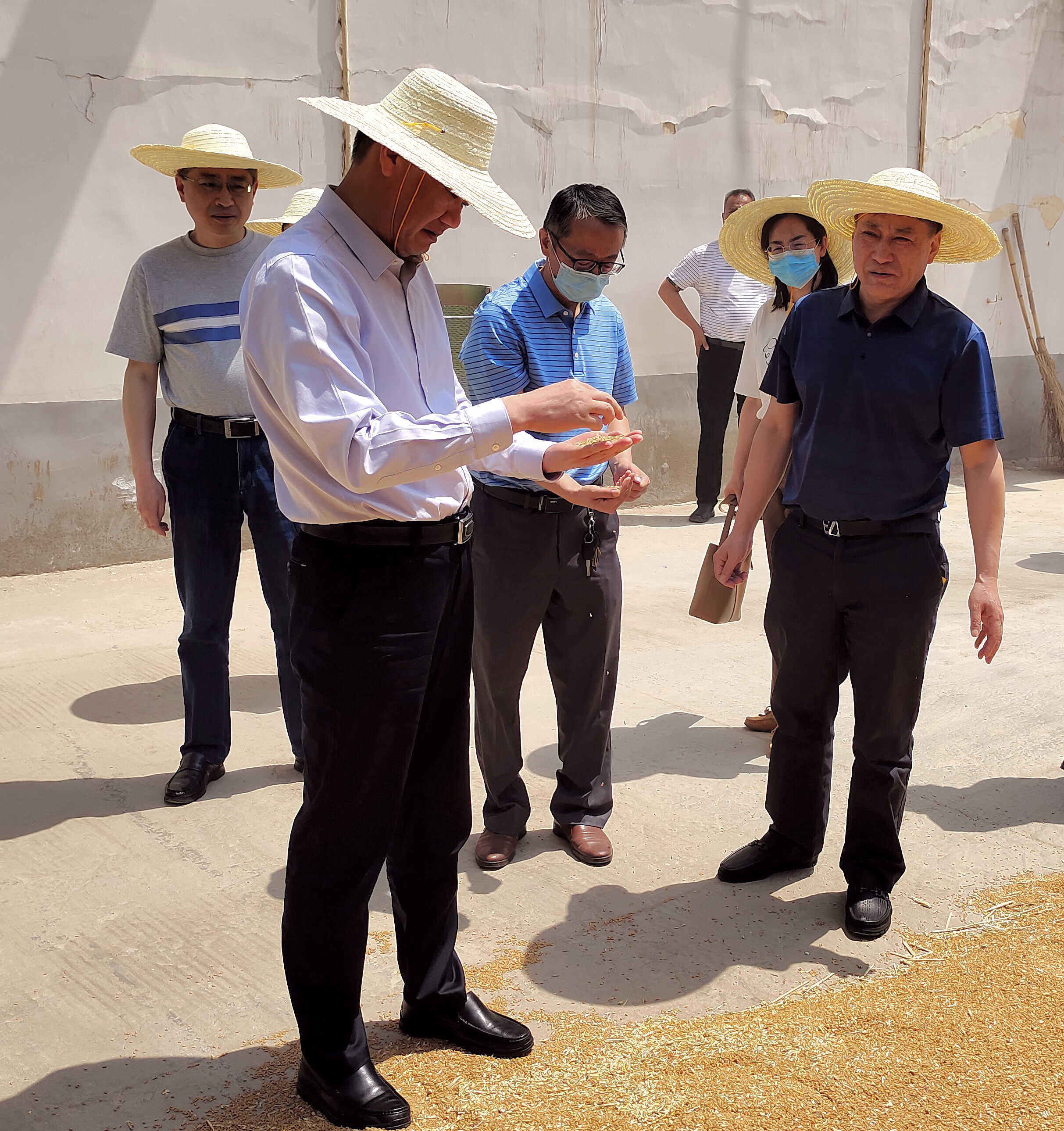 Z6��������ʱ���й������ٷ���վ