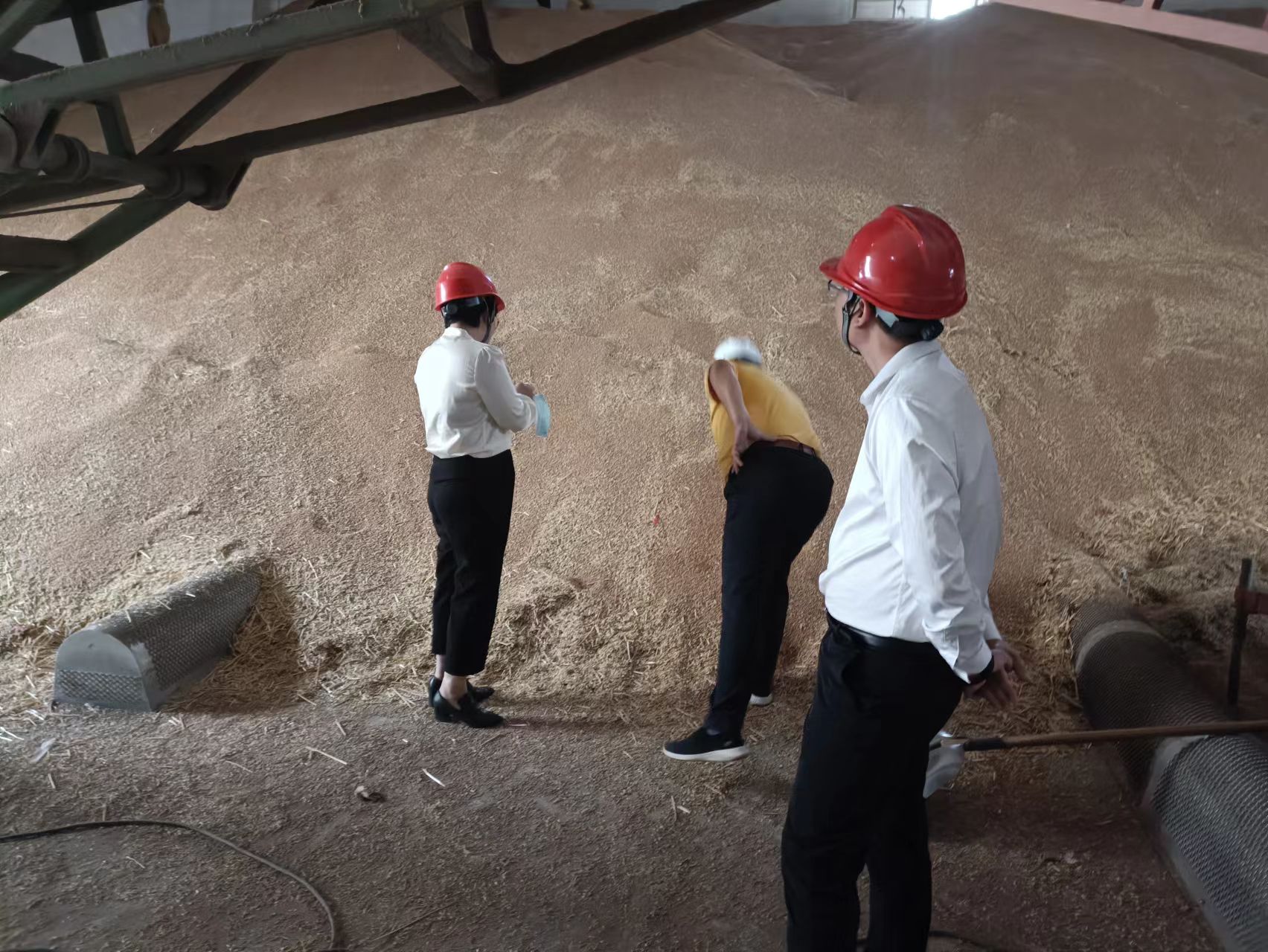 Z6��������ʱ���й������ٷ���վ