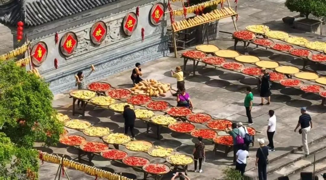 Z6��������ʱ���й������ٷ���վ