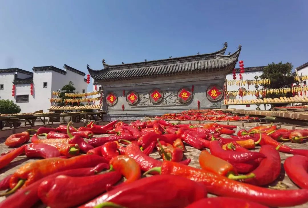 Z6��������ʱ���й������ٷ���վ