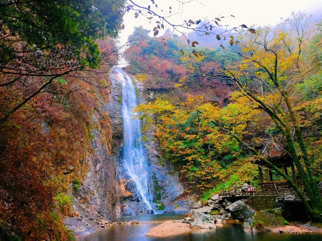 Z6��������ʱ���й������ٷ���վ