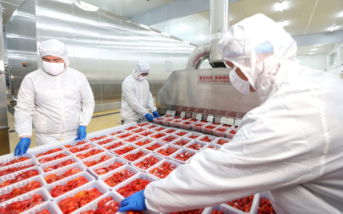 Z6��������ʱ���й������ٷ���վ