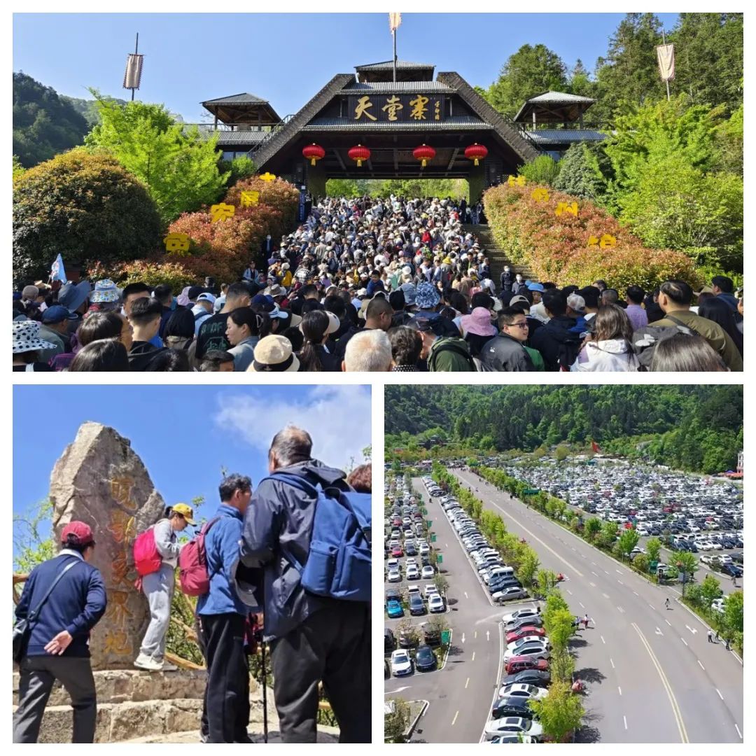 Z6��������ʱ���й������ٷ���վ