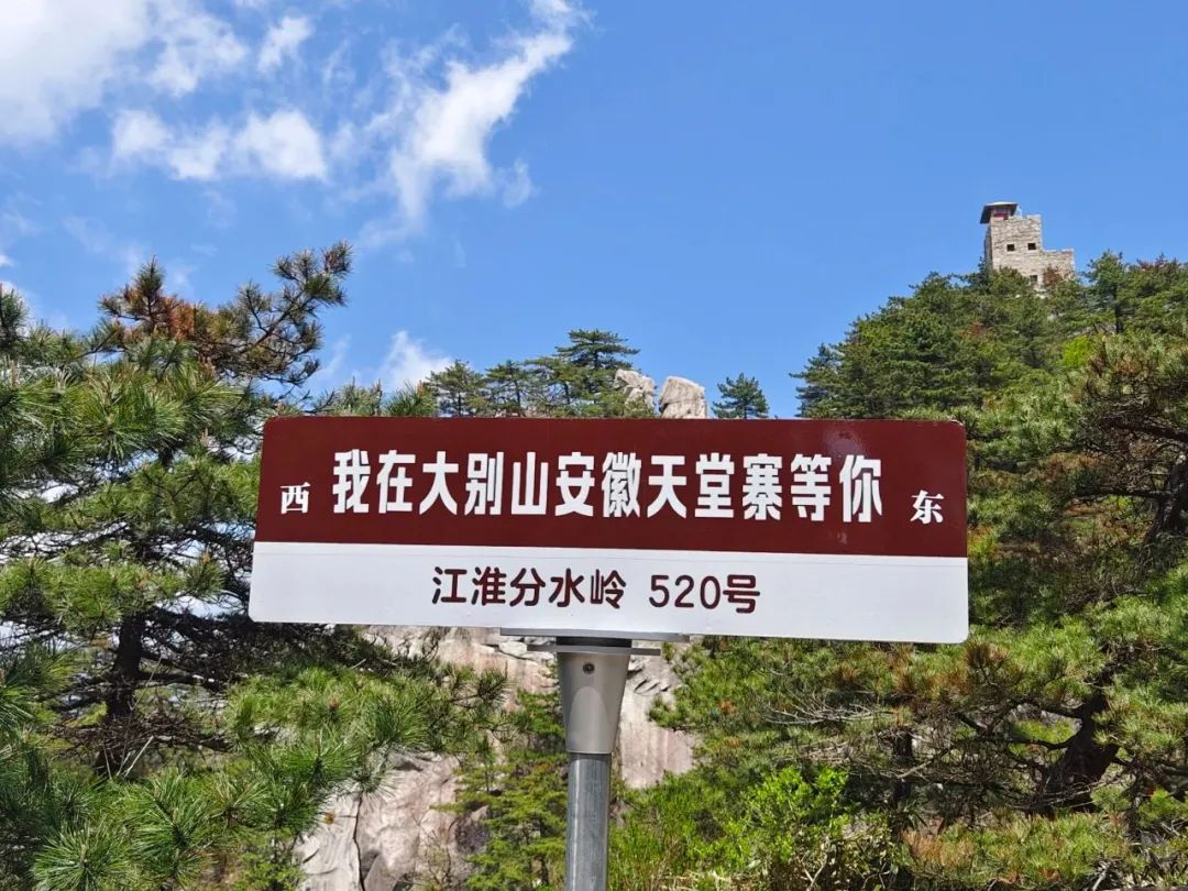 Z6��������ʱ���й������ٷ���վ