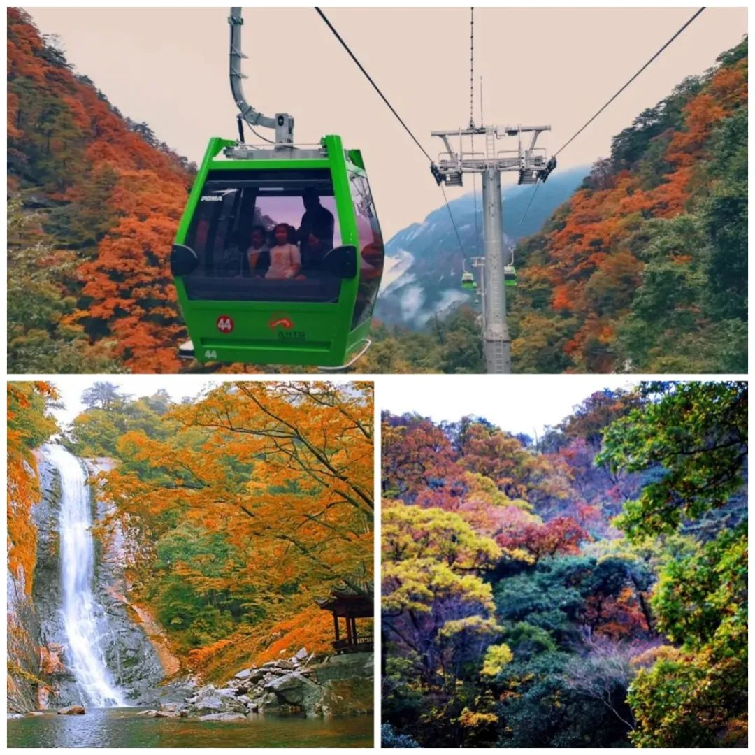 Z6��������ʱ���й������ٷ���վ