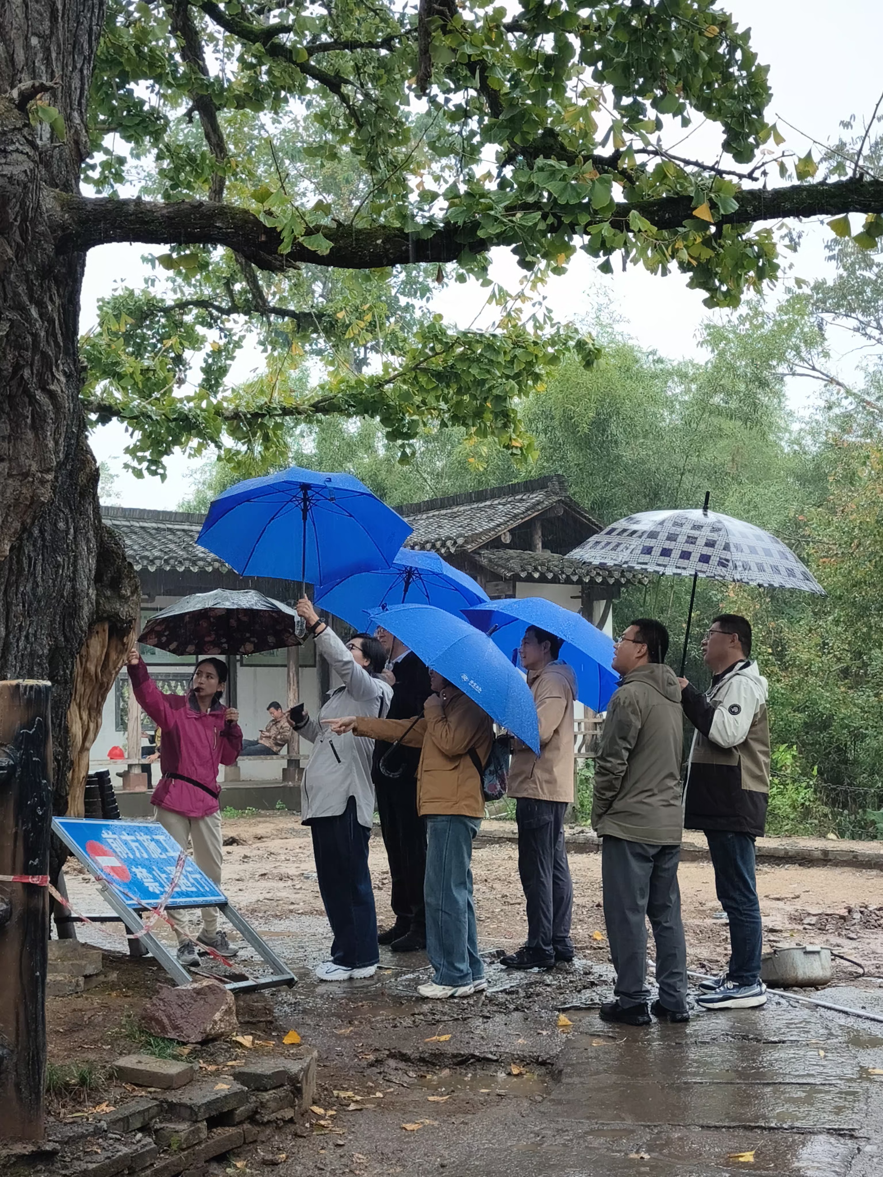 Z6��������ʱ���й������ٷ���վ