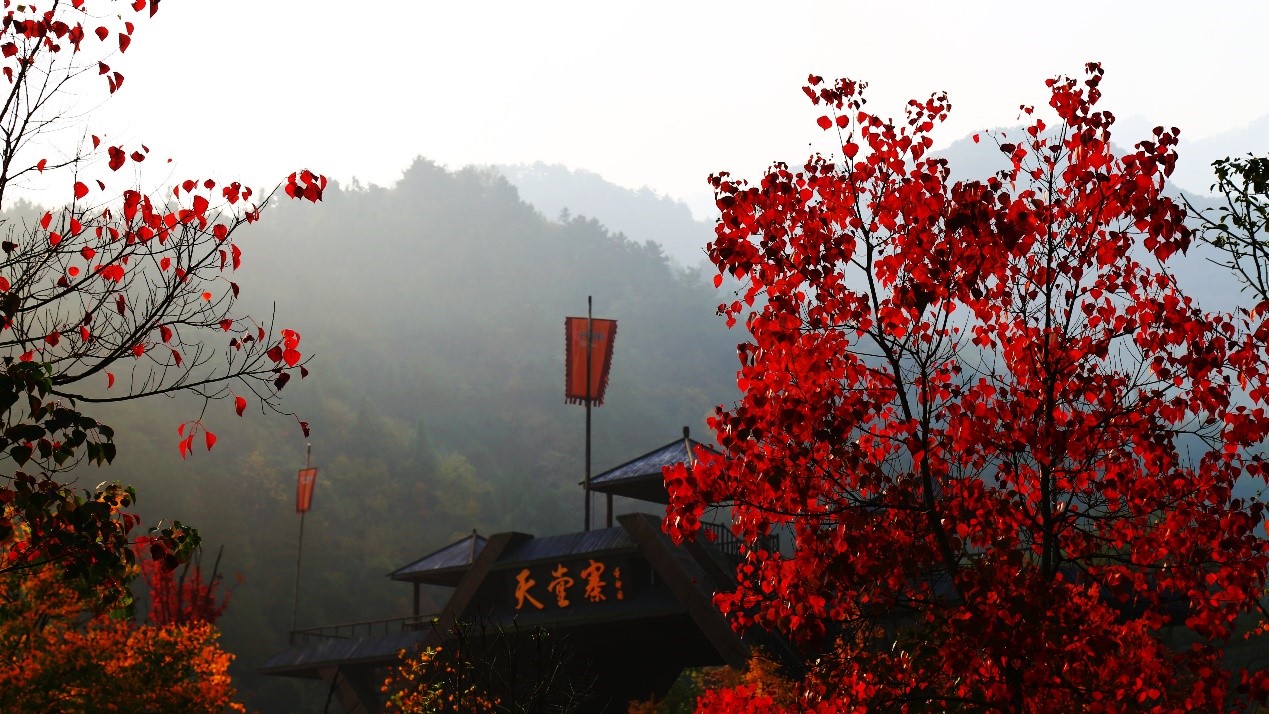 Z6��������ʱ���й������ٷ���վ