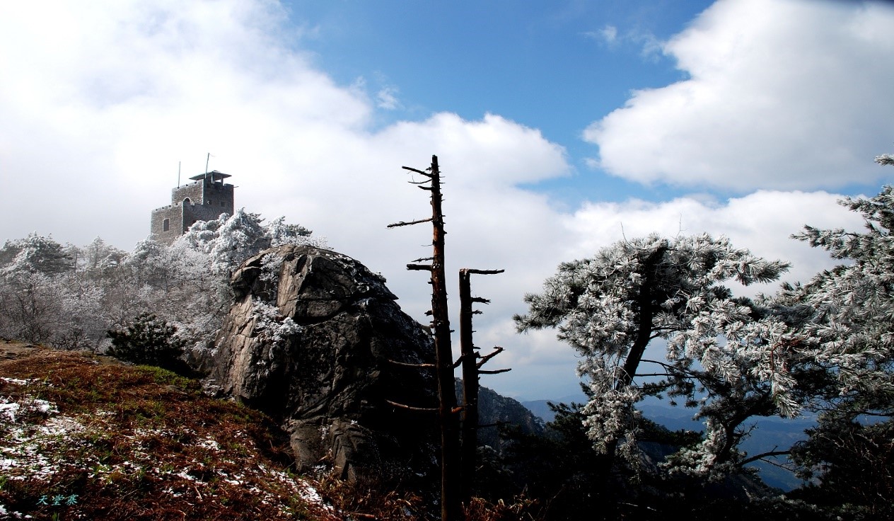 Z6��������ʱ���й������ٷ���վ