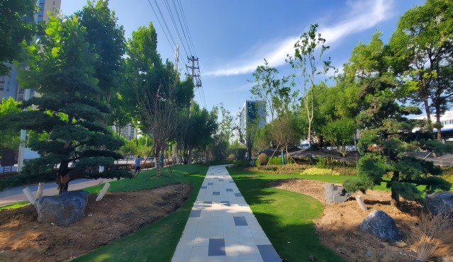 Z6��������ʱ���й������ٷ���վ