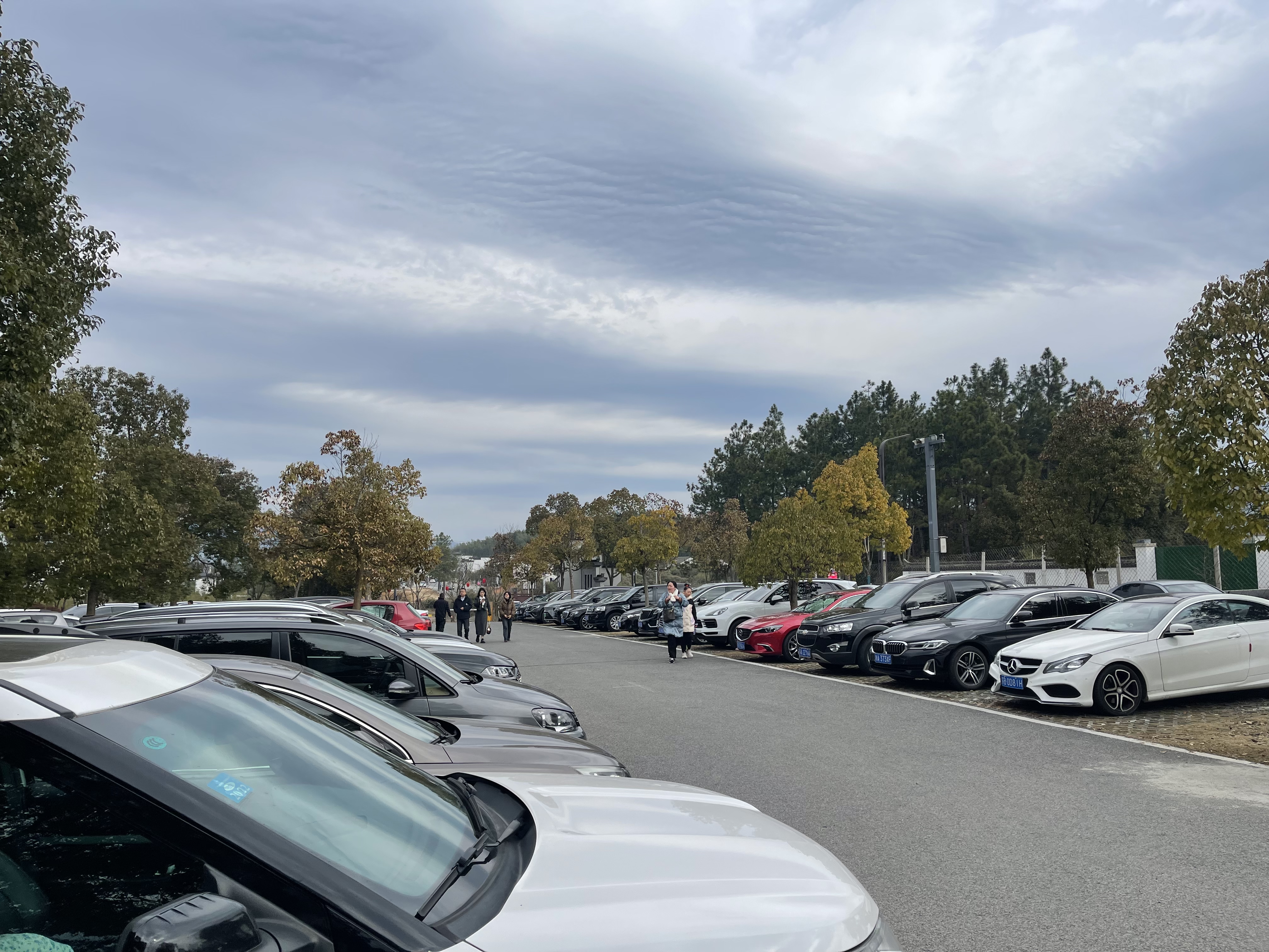 Z6��������ʱ���й������ٷ���վ