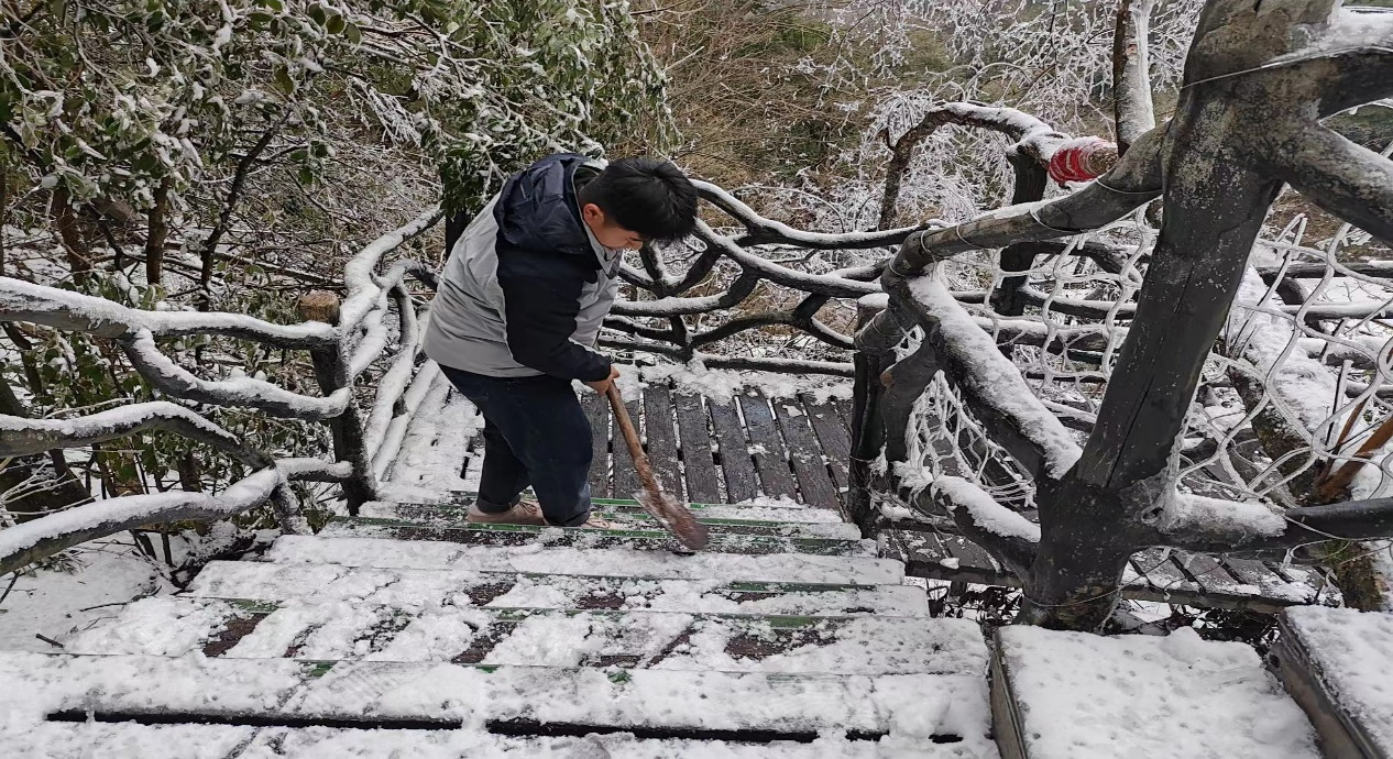 Z6��������ʱ���й������ٷ���վ