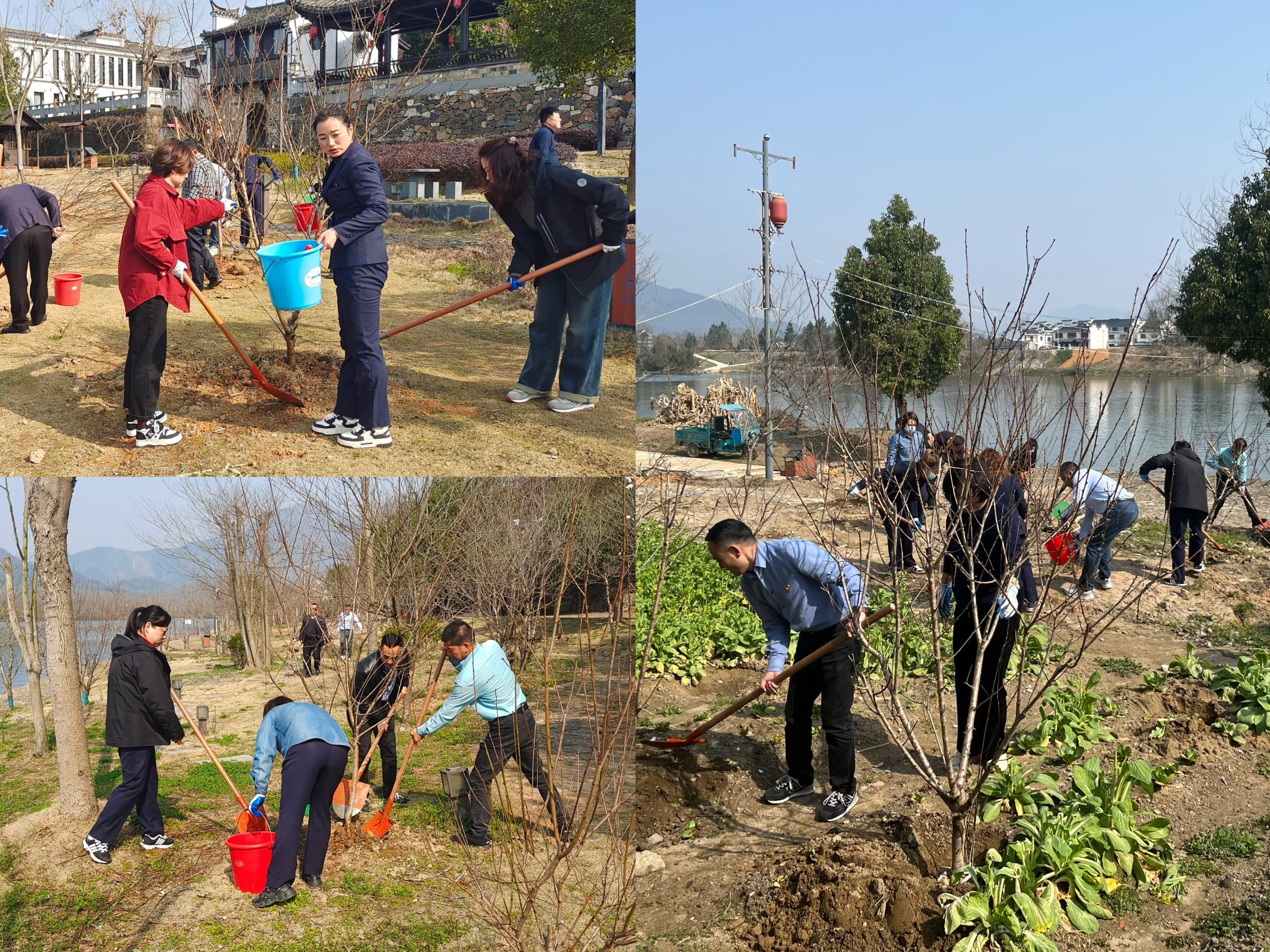 Z6��������ʱ���й������ٷ���վ