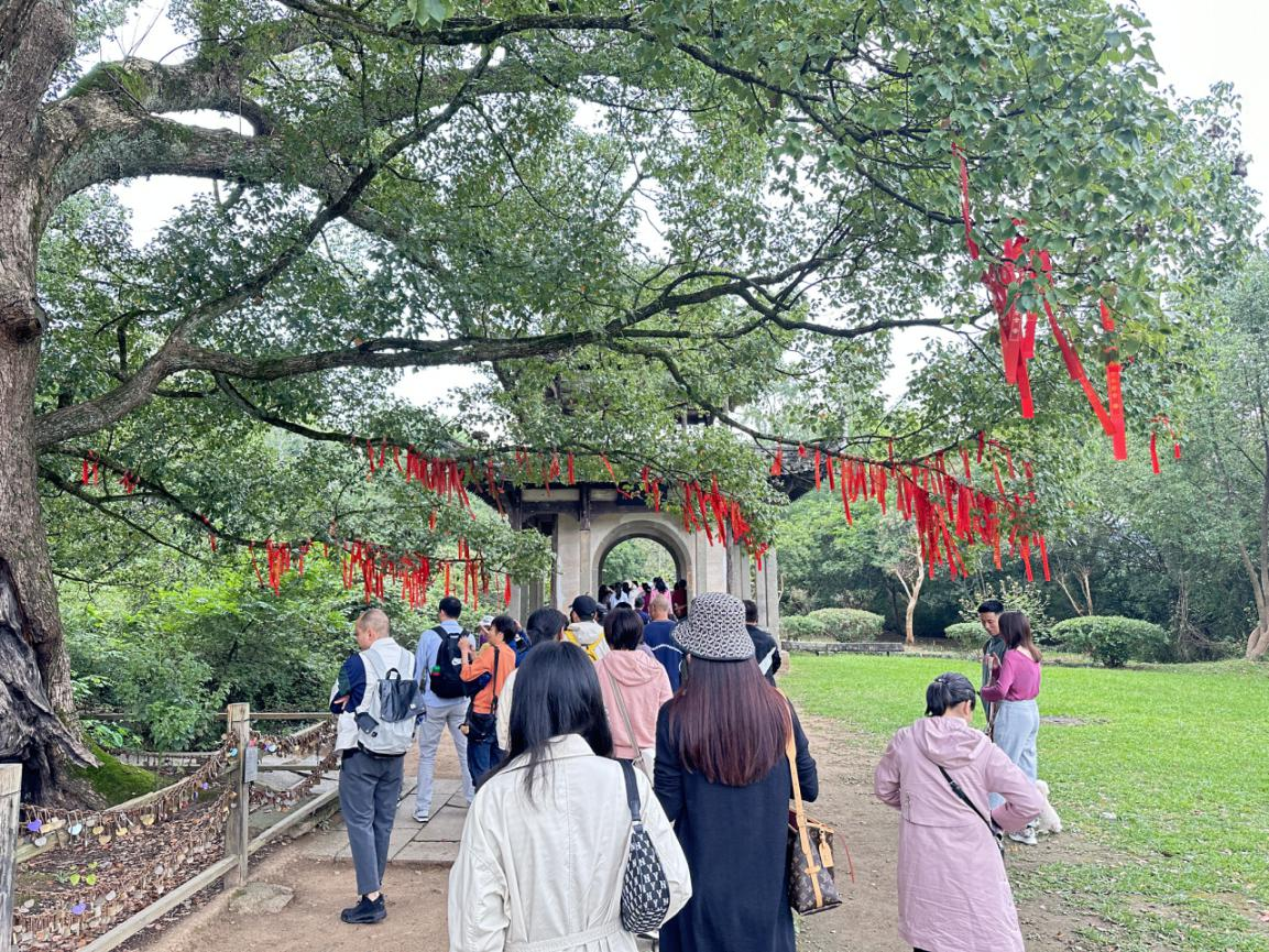 Z6��������ʱ���й������ٷ���վ